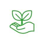 icono_verde_27